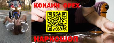 соль ск Можга
