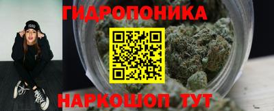 соль ск Можга