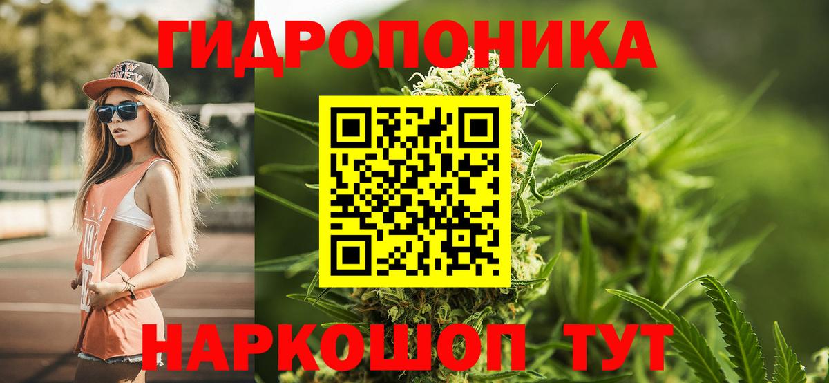Канабис THC 21%  Вход с VPN  Канабис THC 21%  МАРИХУАНА AK-47  МАРИХУАНА Ganja  Великий Устюг 